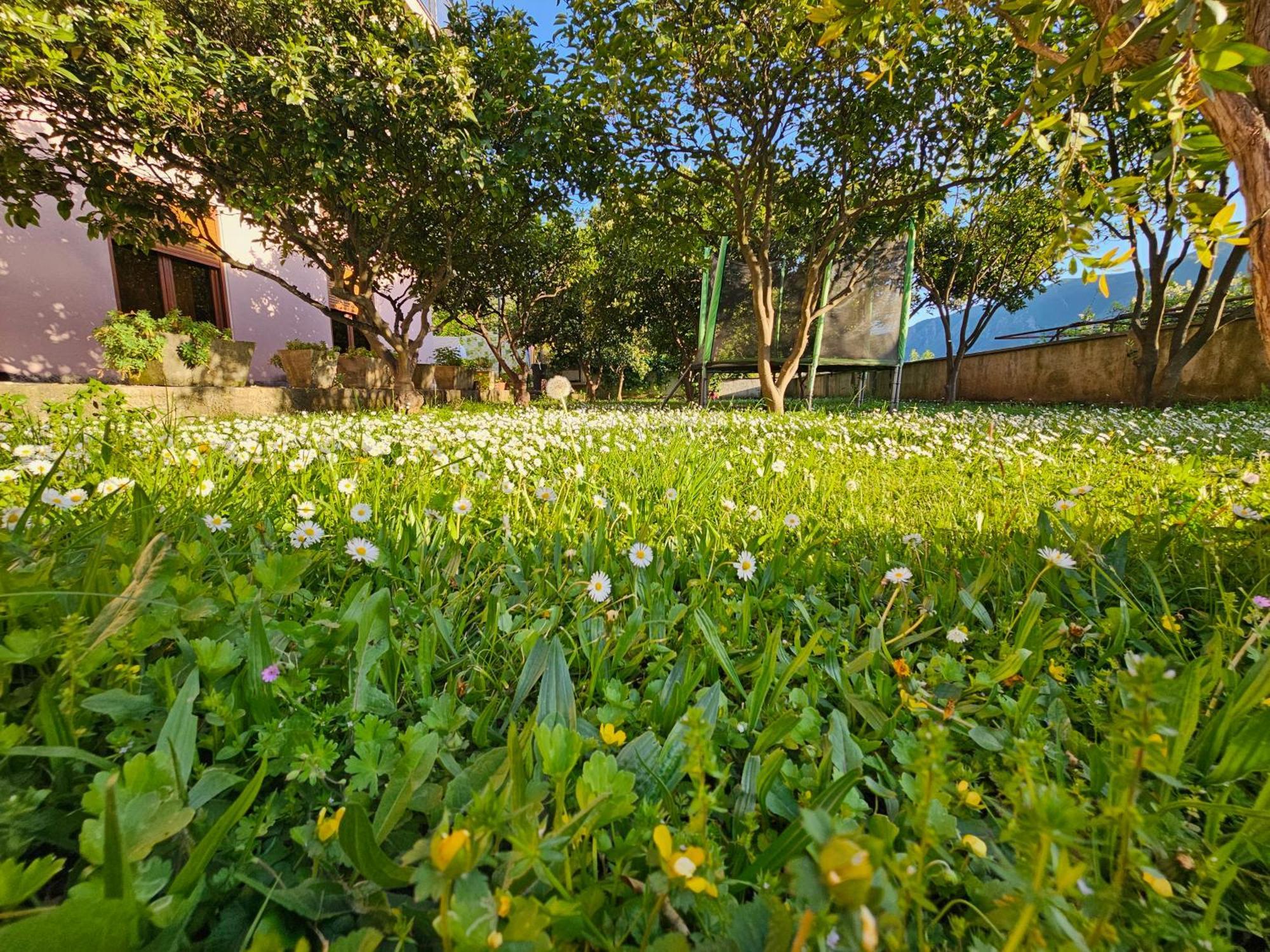 Apartamento Modern Seaside Escape - Stunning Sea View - Private & Stylish Kotor Exterior foto